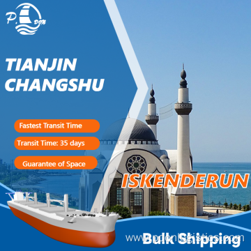 Bulk Shipping from Tianjin to Iskenderun